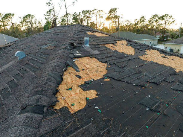 Expert Roofing Services Near Me for Your Home’s Protection