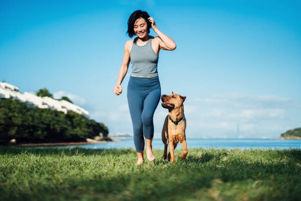 How to Maintain Your Health in a Busy Modern Lifestyle